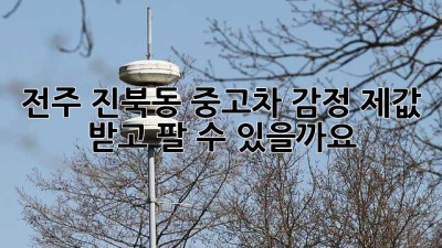 전주 진북동 중고차 감정, 제값 받고 팔 수 있을까요?